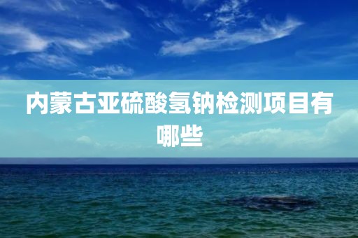 内蒙古亚硫酸氢钠检测项目有哪些