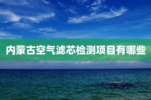 内蒙古空气滤芯检测项目有哪些